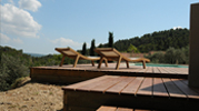 Plancher de terrasse en Ipe